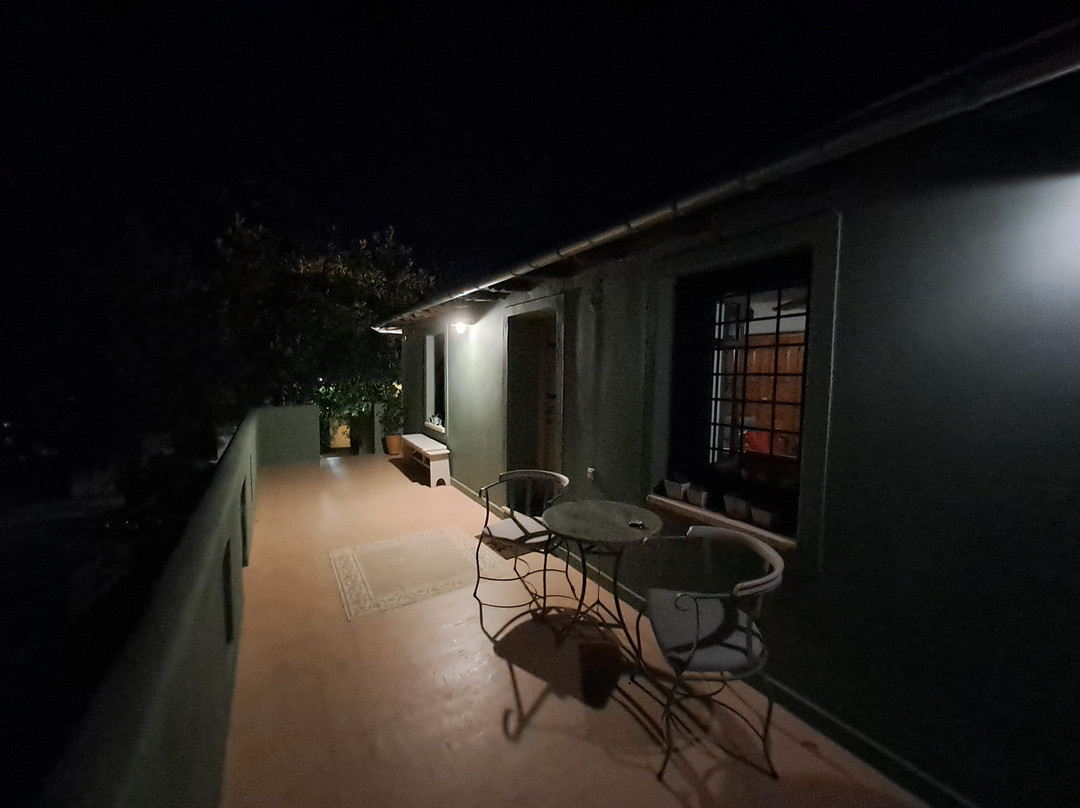 Αrnica Montana主图