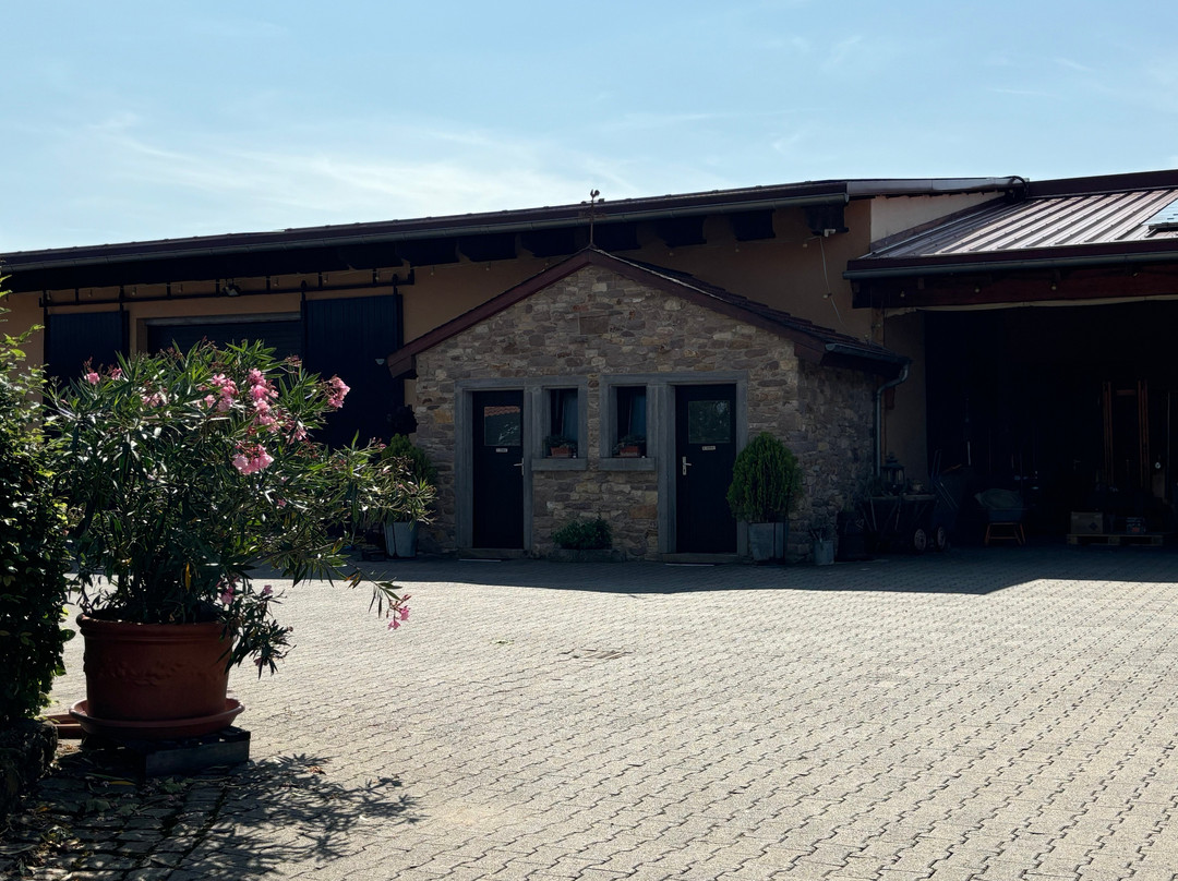 Weingut Sommer-Siefersheim必去景点