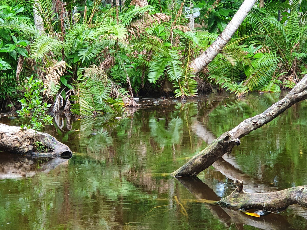 温德姆阿尔特拉萨马纳全包式度假村