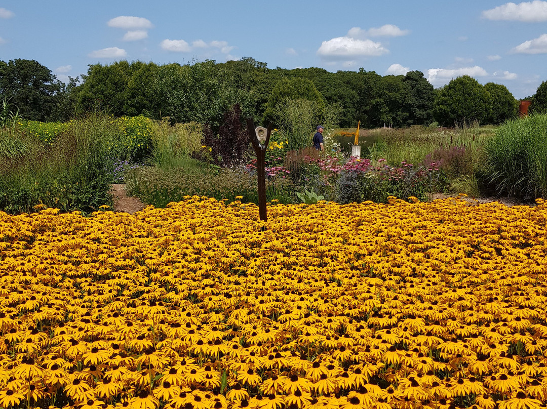 Sussex Prairies Garden景点图片