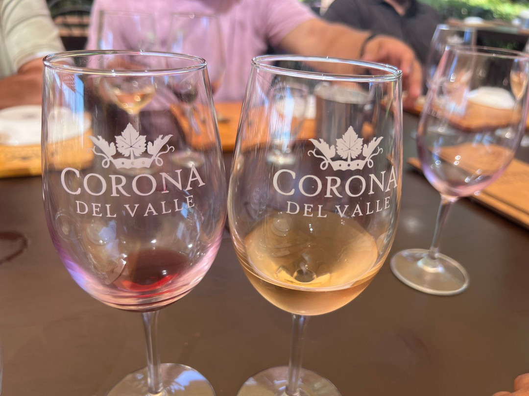 Corona Hotel & Spa主图