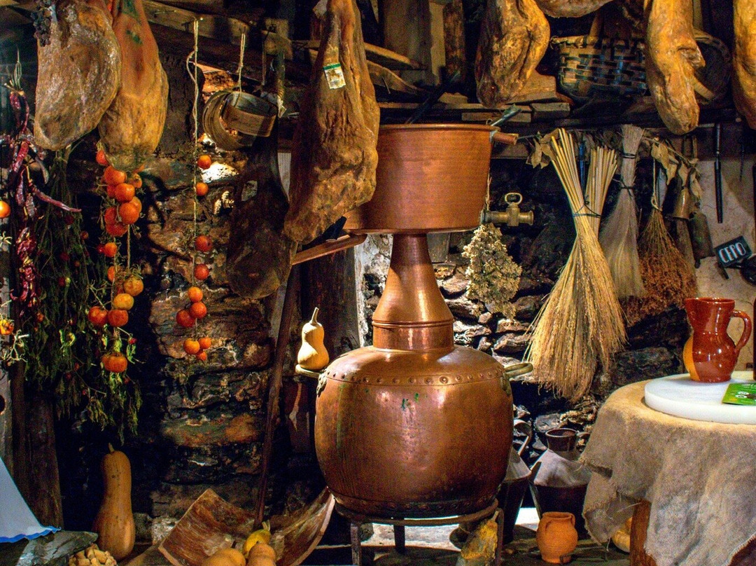 Oleosetin Tienda - Museo景点图片