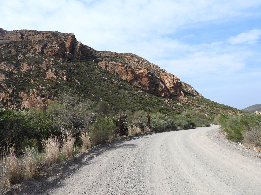 Seweweekspoort-Ladismith必去景点