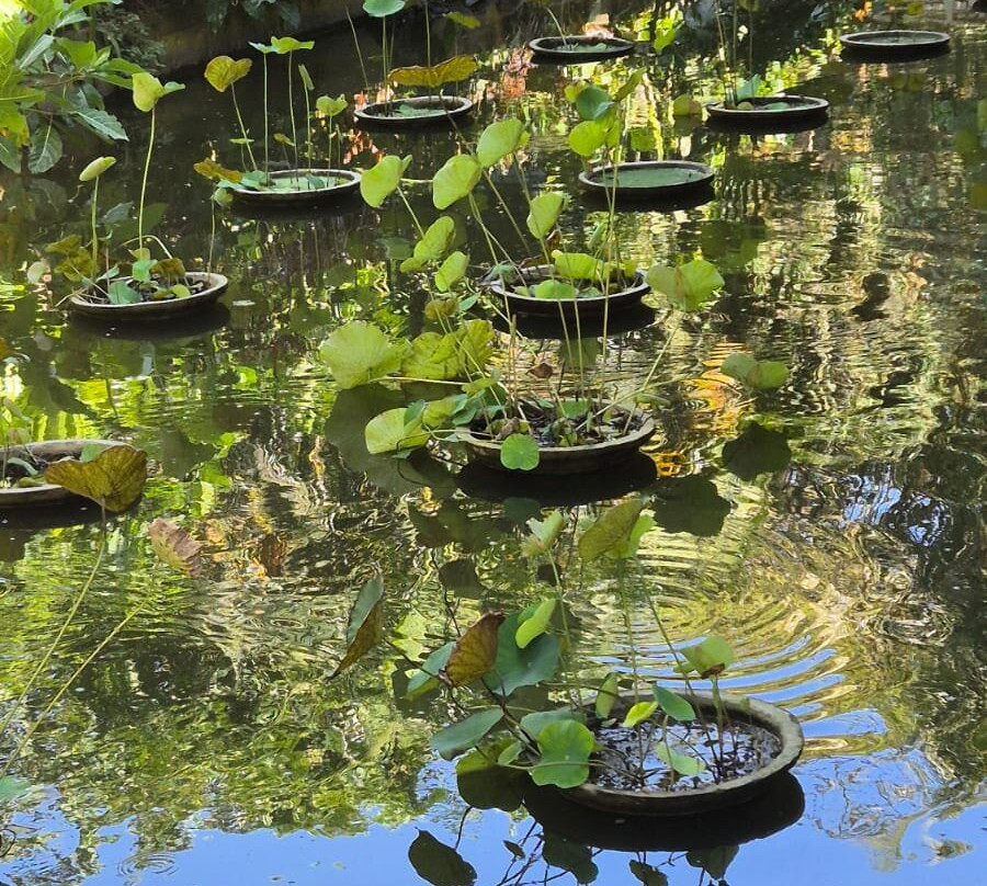 G’day mate Bali tour & baby hire-Kuta Selatan必去景点