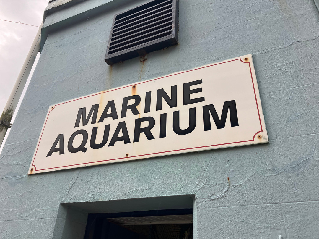 Mevagissey Aquarium-梅瓦吉西必去景点