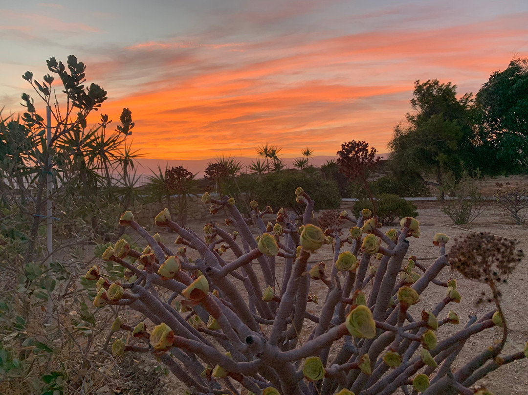 Iliovasilema Studios - Koufonisia主图