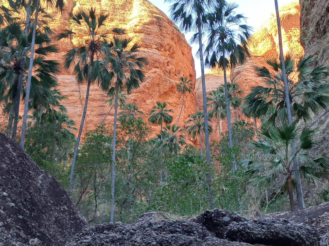 Kimberley Wild Expeditions-布鲁姆必去景点