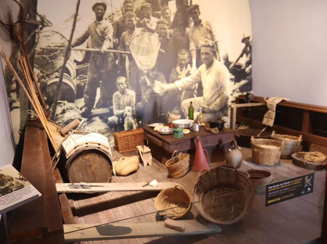 Museo del Mar景点图片