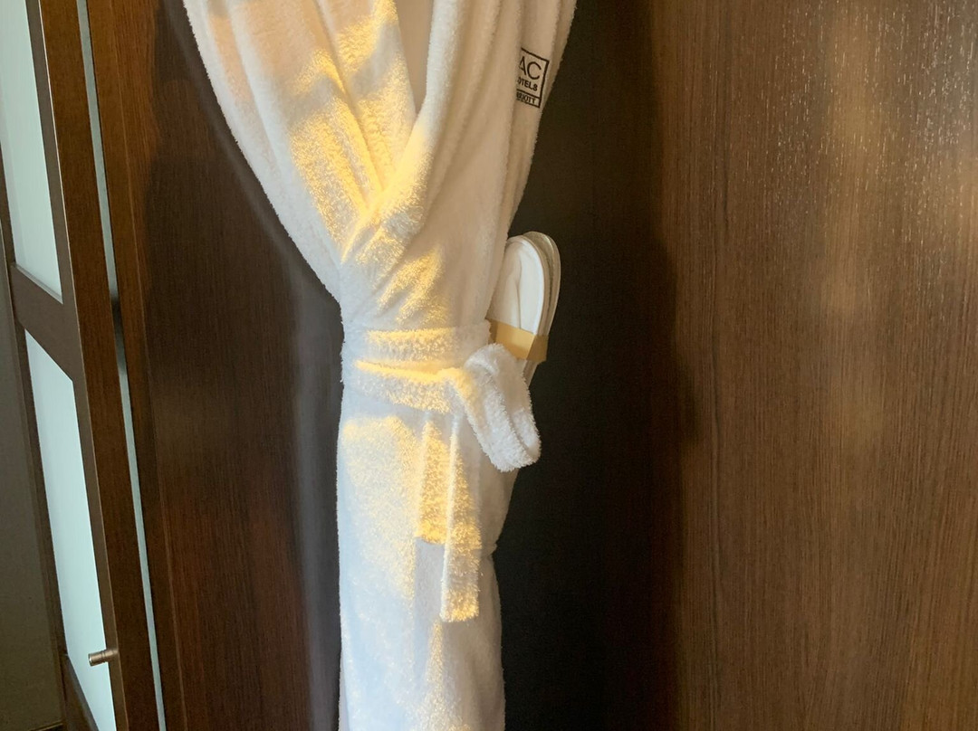 Ac Hotel San Sebastian De Los Reyes主图