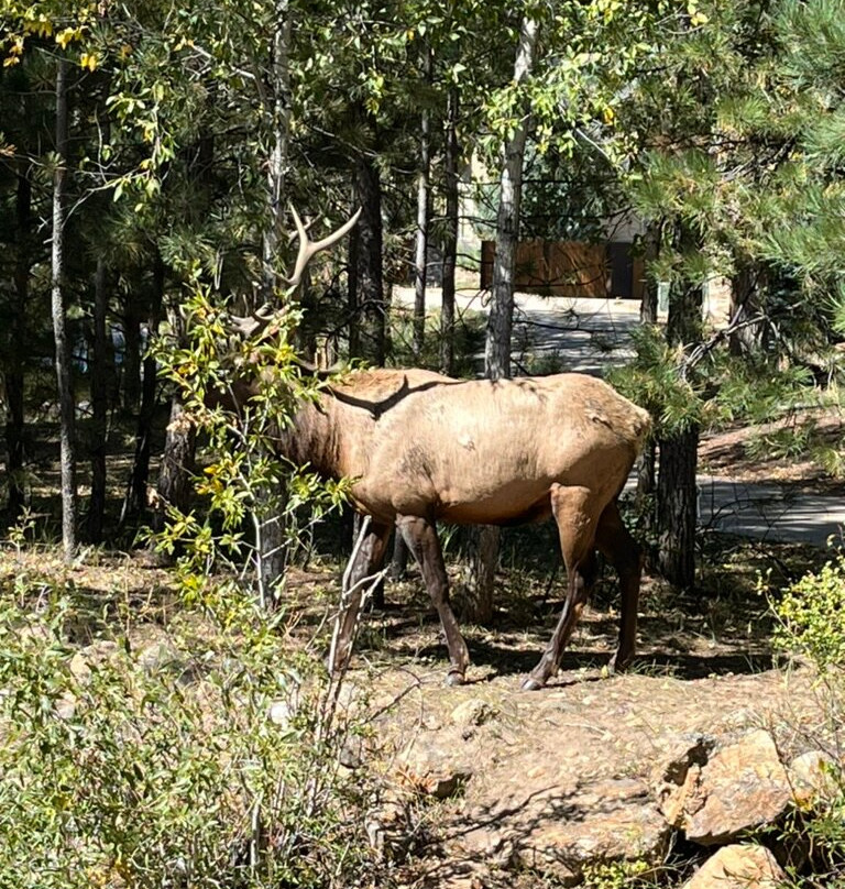 Murphy's River Lodge主图