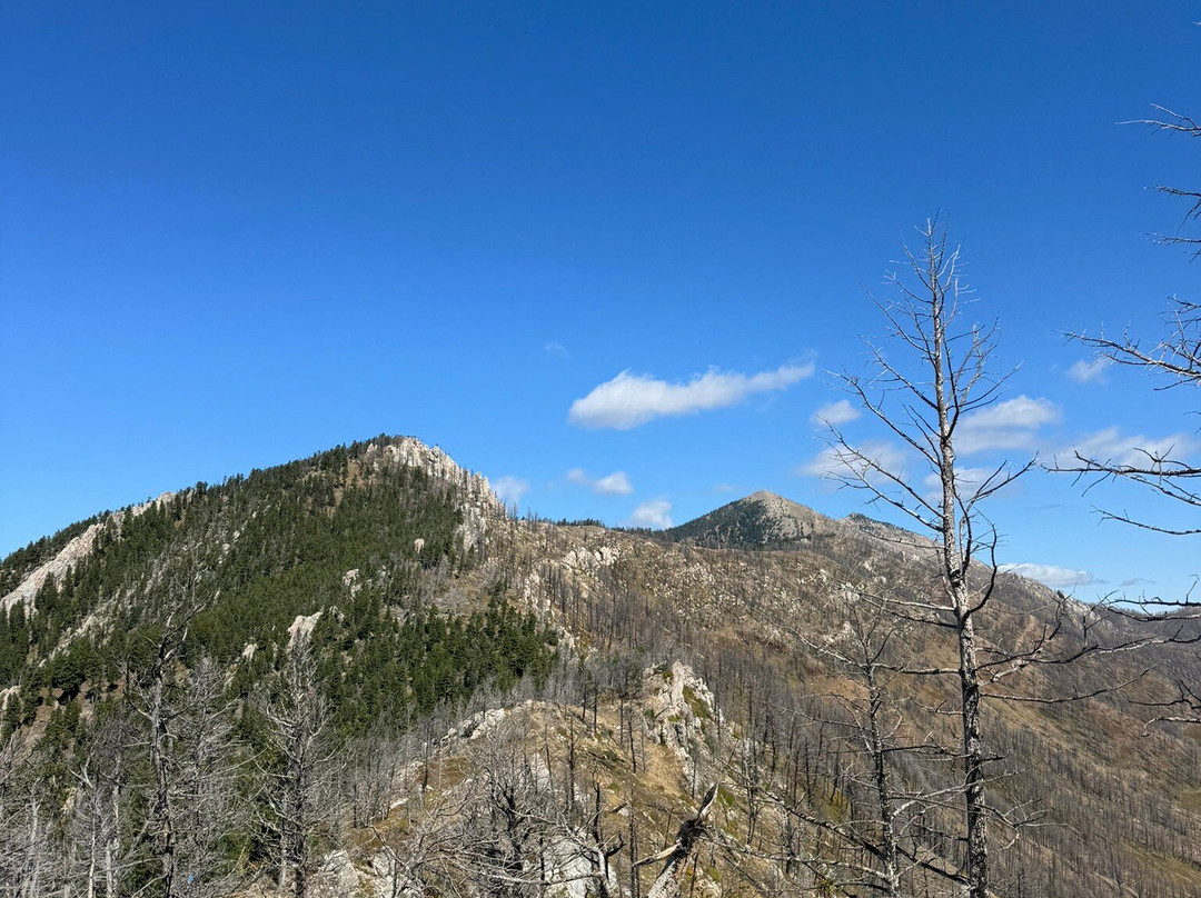 College M Trailhead and Picnic Area-博兹曼必去景点