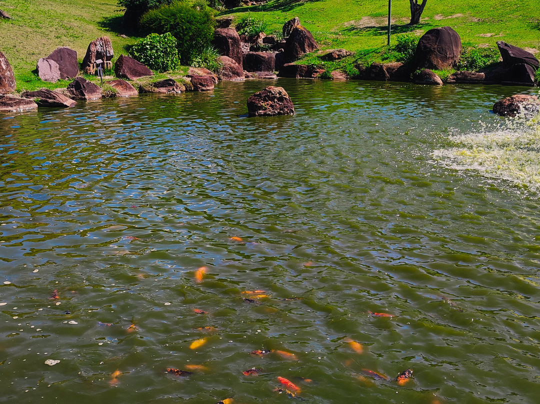 Parque do Japão景点图片