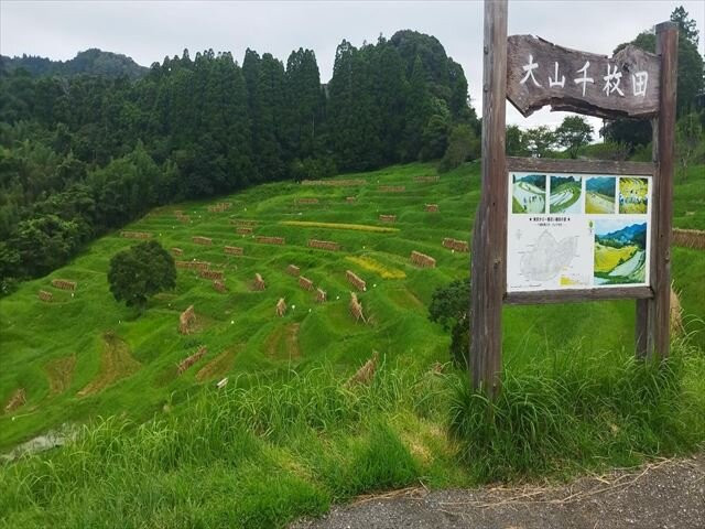 Oyama Rice Terraces-鸭川市必去景点