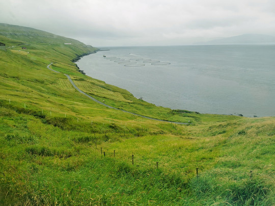 The Nordic House-托沙文必去景点