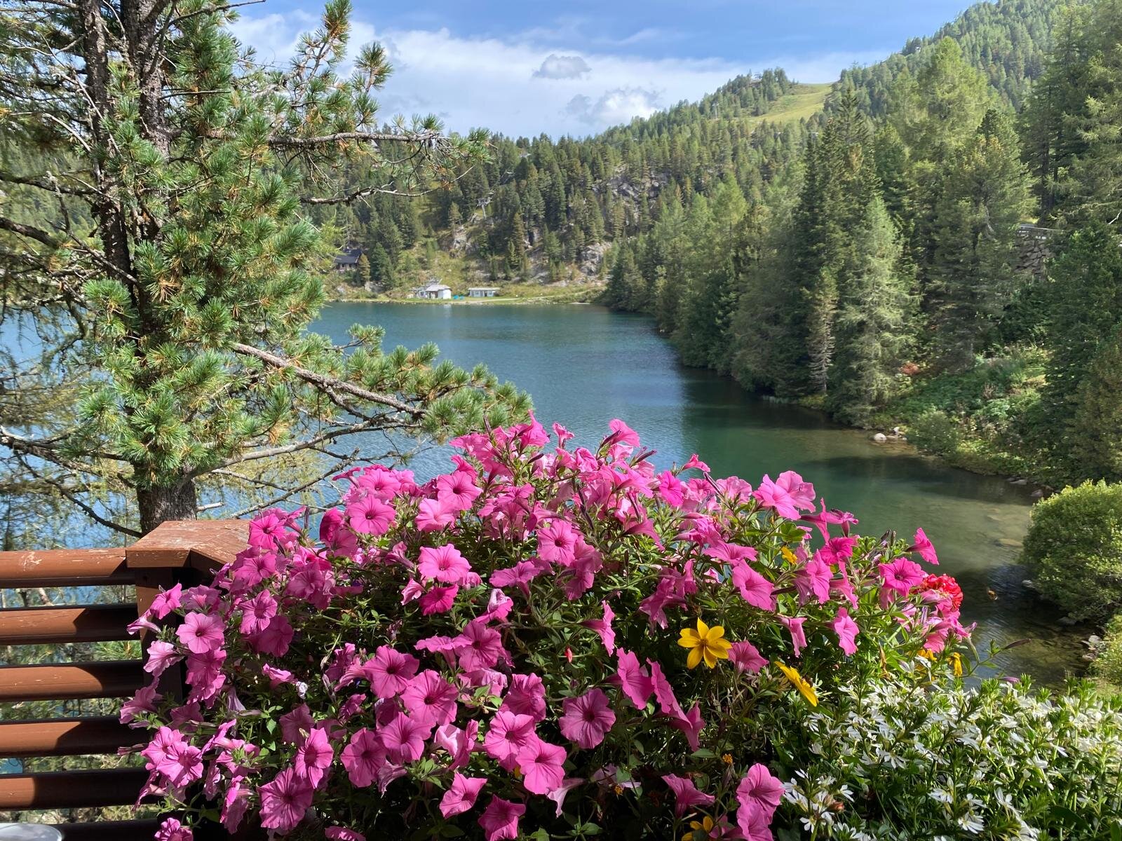 Hotel Hochschober-酒店景观