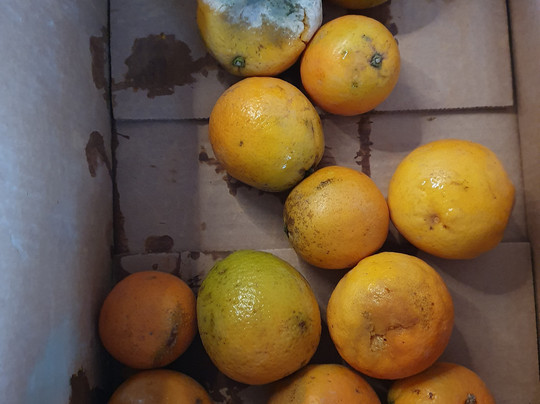 Fet a Soller Oficinas-索耶尔必去景点