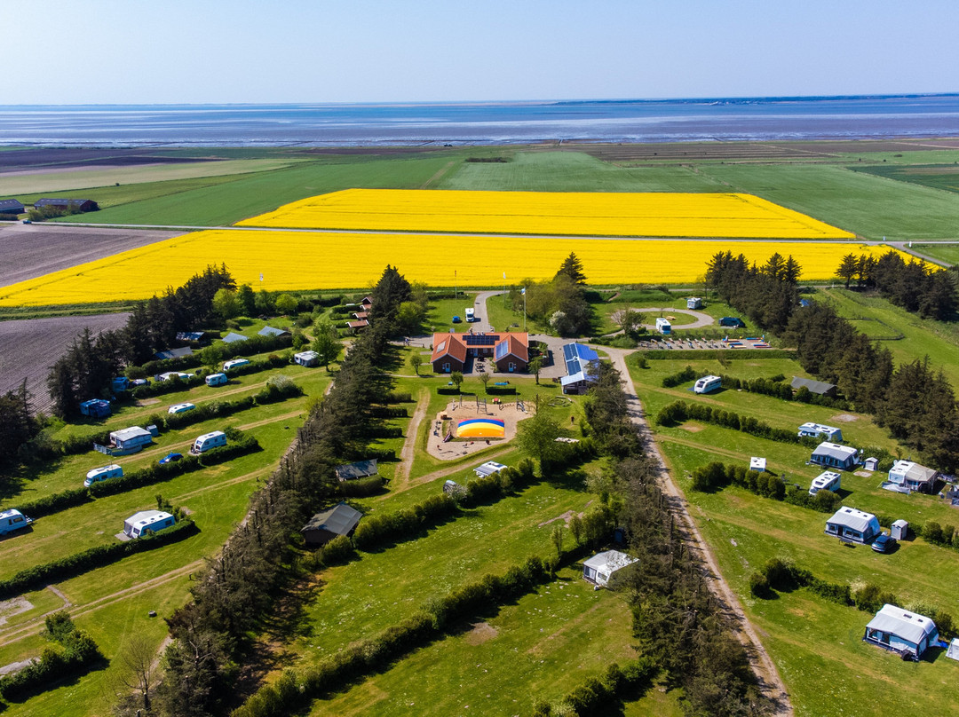 Ballum Camping