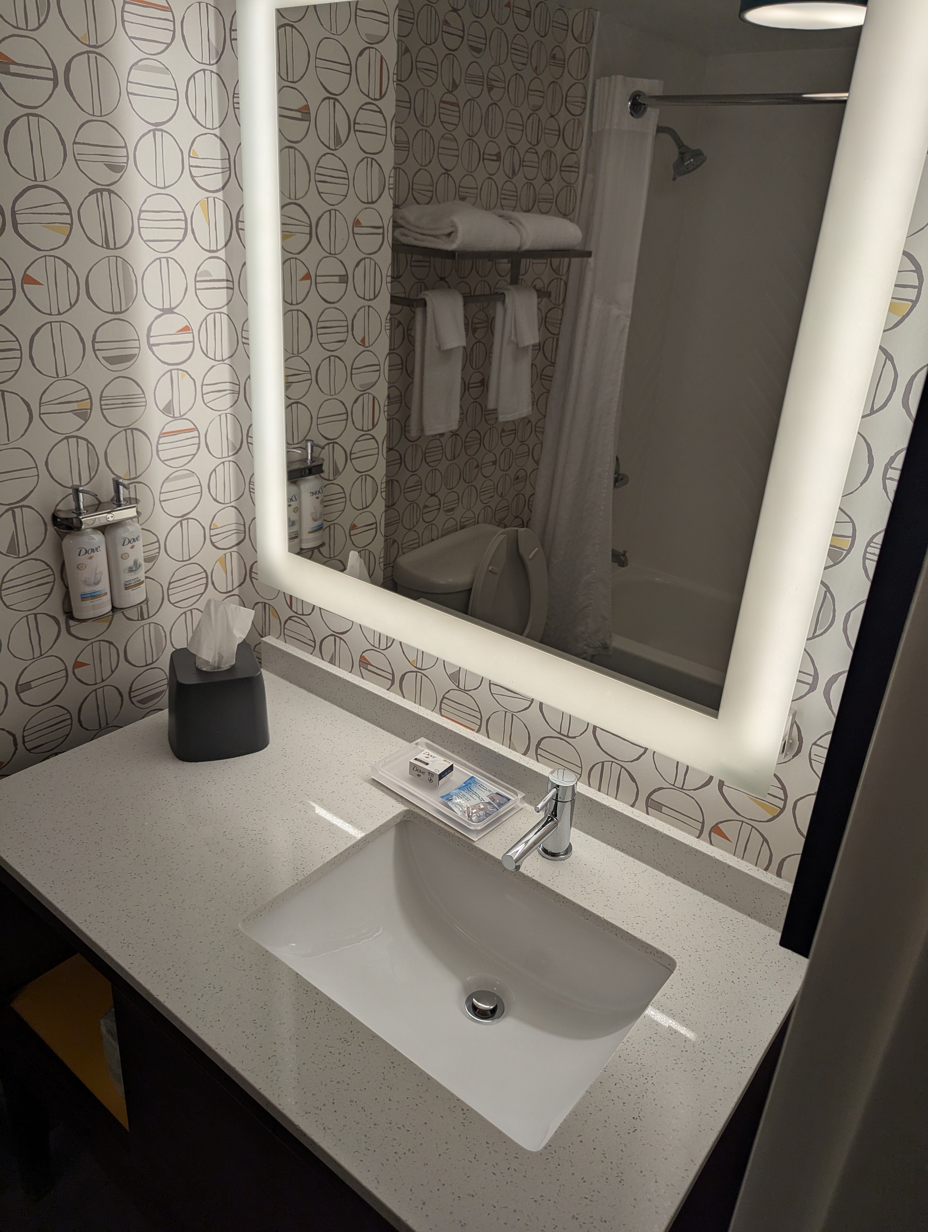 罗利达勒姆机场假日酒店-浴室