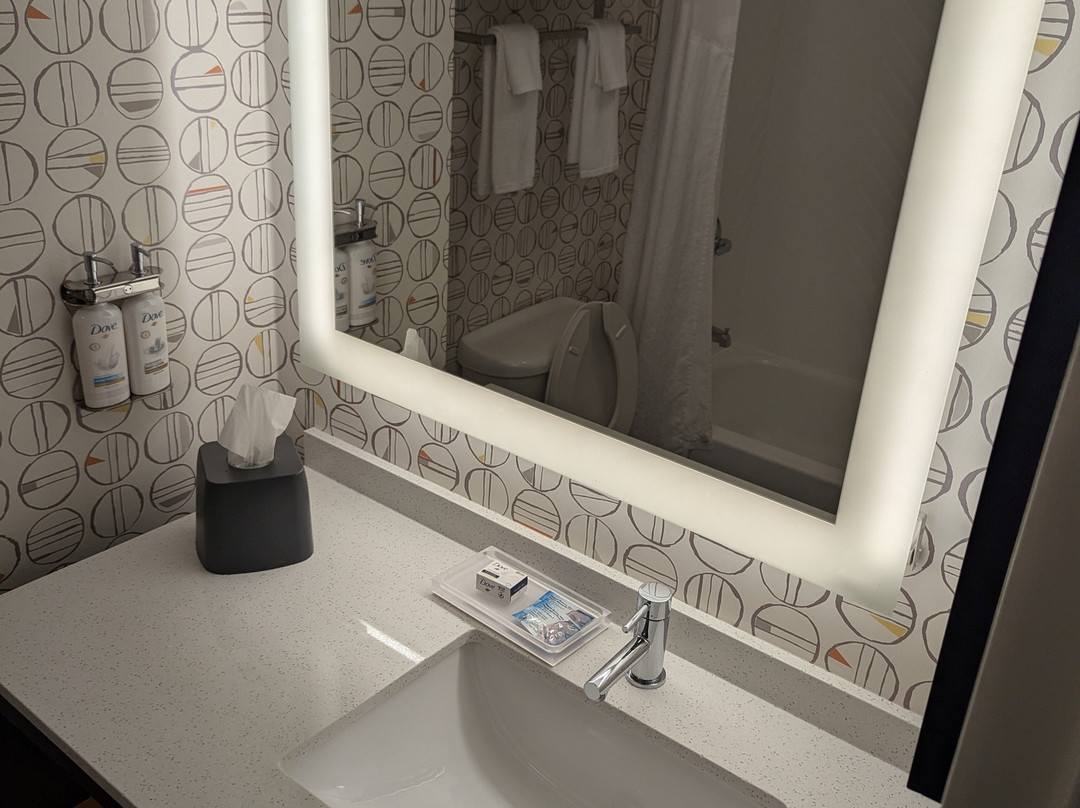 罗利达勒姆机场假日酒店主图