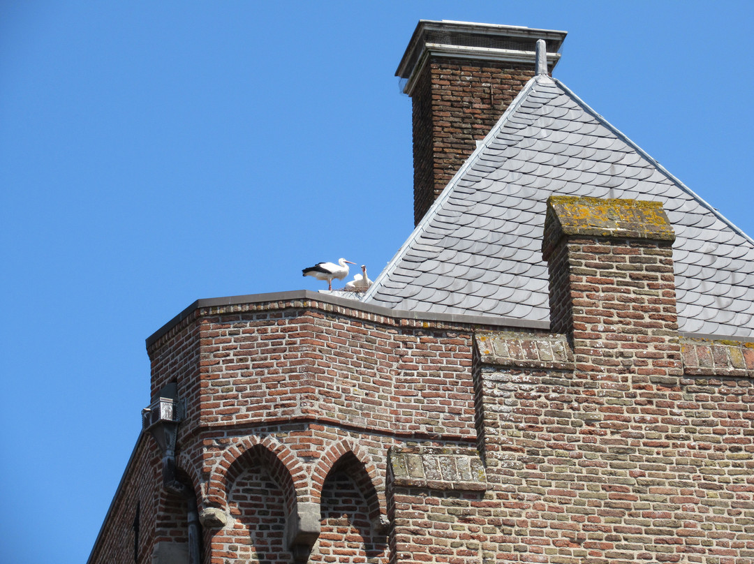 Arent Thoe Boecophuis of Stadskasteel Elburg景点图片