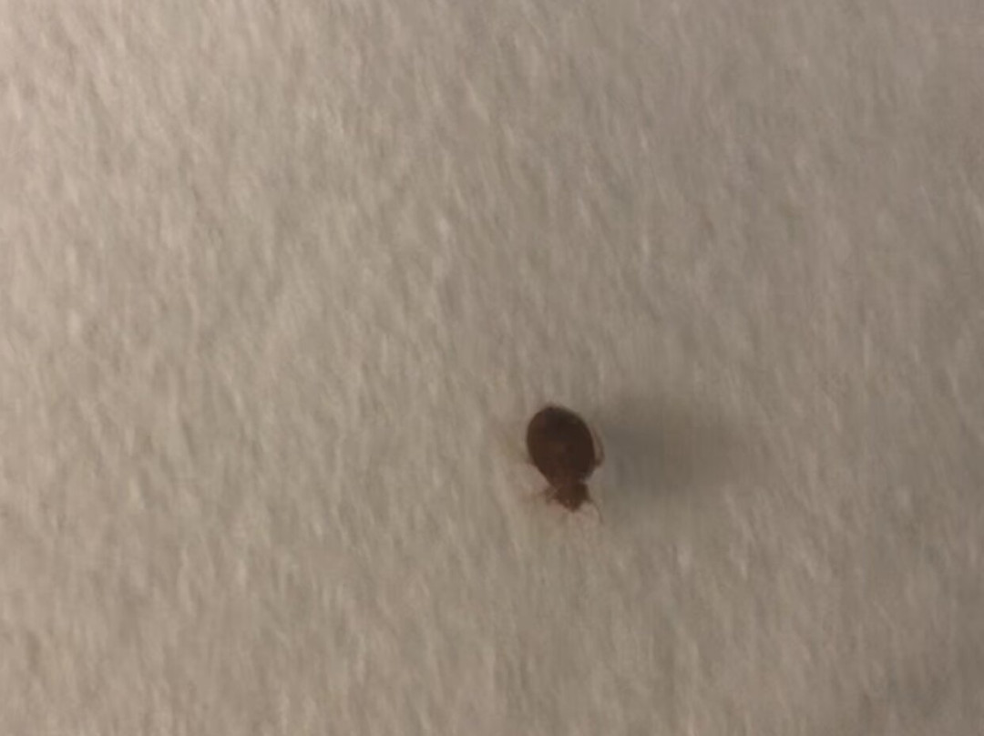 Days Inn & Suites by Wyndham Bonita Springs North Naples主图