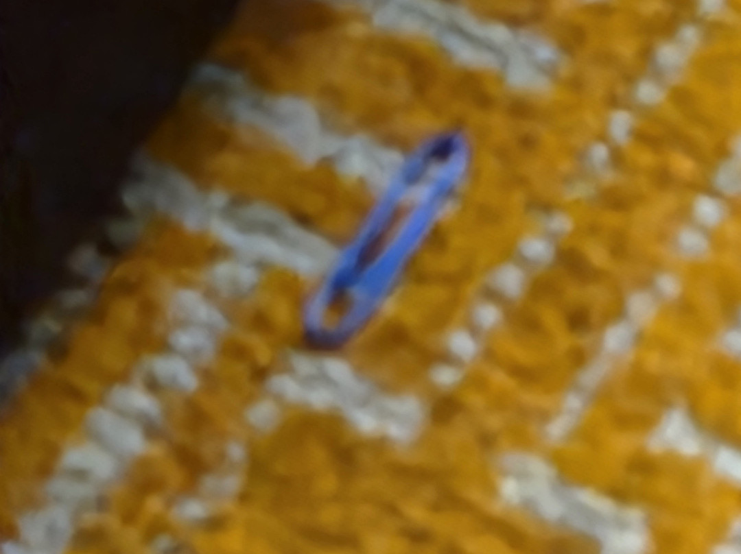 Comfort Inn & Suites Brattleboro I-91主图