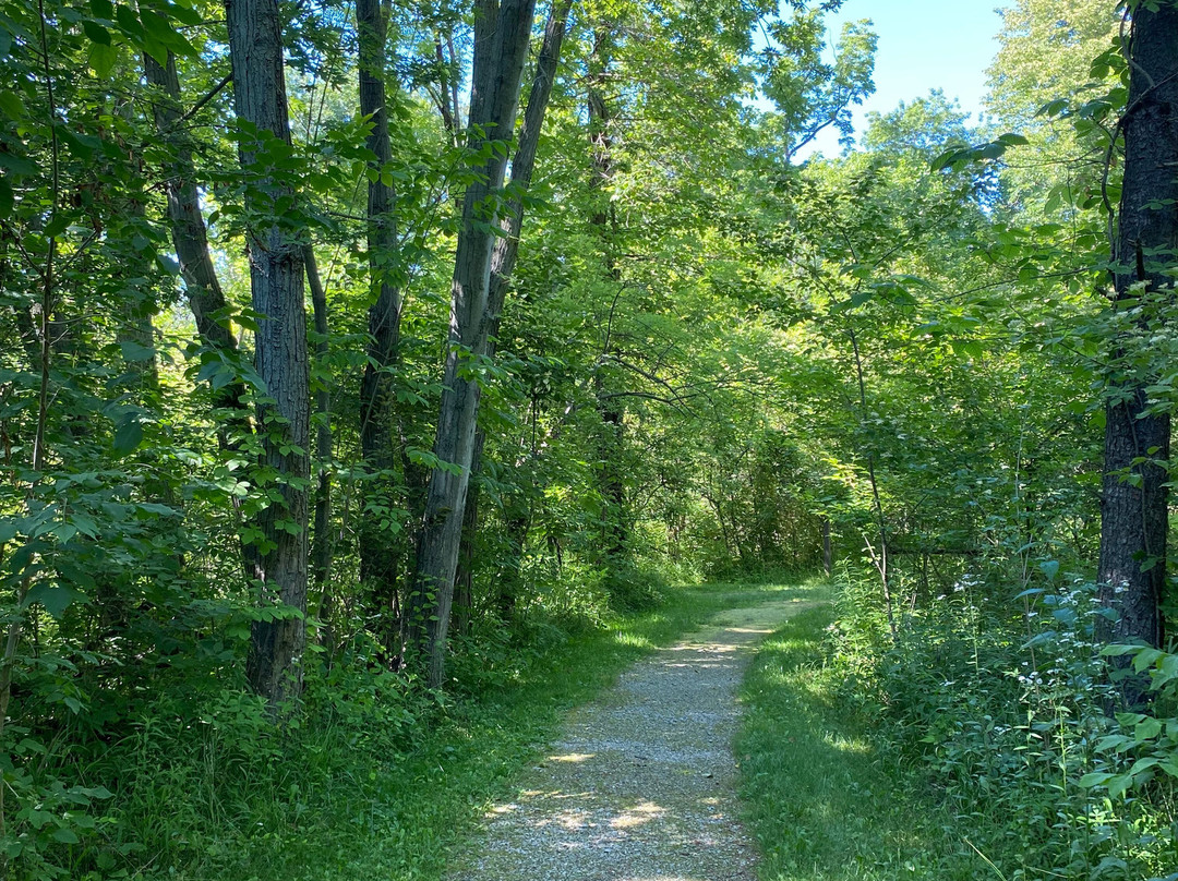 Sheldon Marsh State Nature Preserve-Huron必去景点