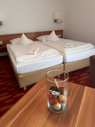 Hotel Nimweger Tor-客卧