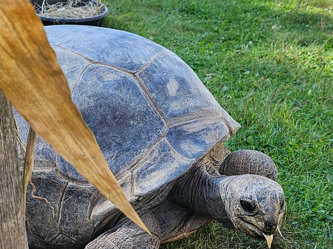 NEW Zoo & Adventure Park-格林贝必去景点