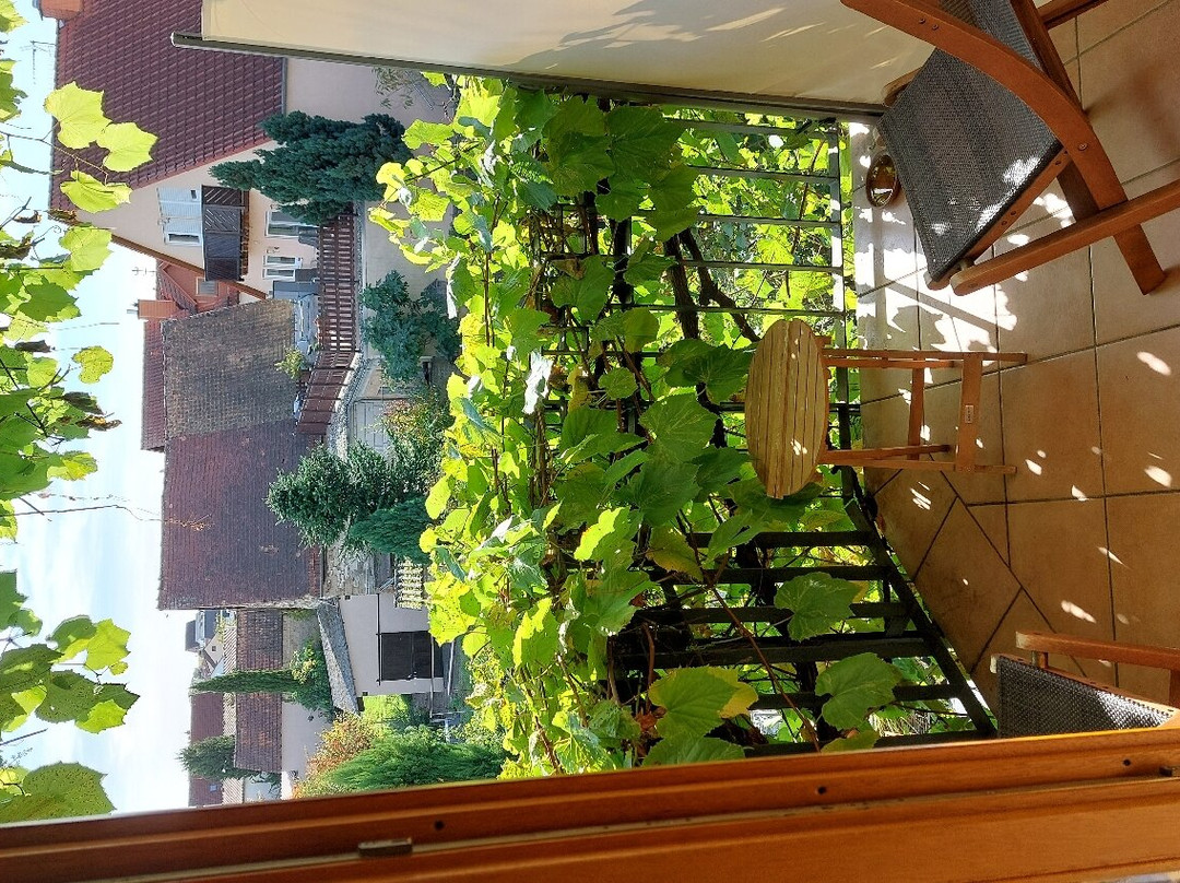 Landhotel Kallstadt主图