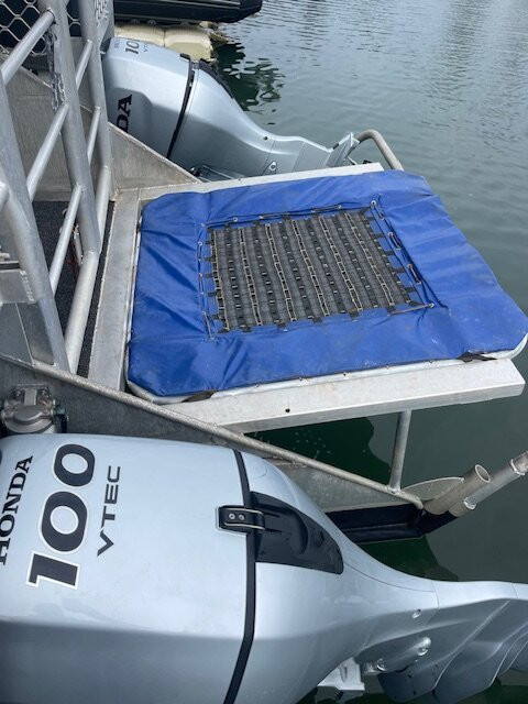 Gold Coast Party Pontoons-Runaway Bay必去景点