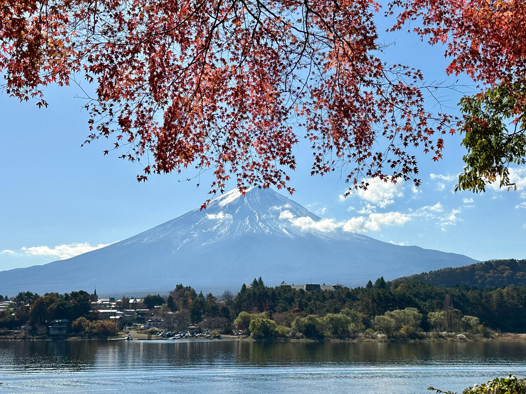 Fuji Lake Kawaguchi Koyo Festival景点图片