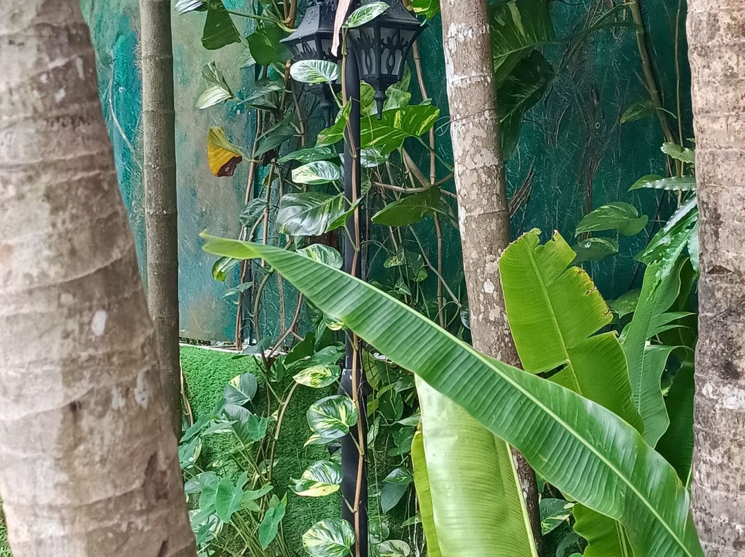 Silver Sand Sentinel主图