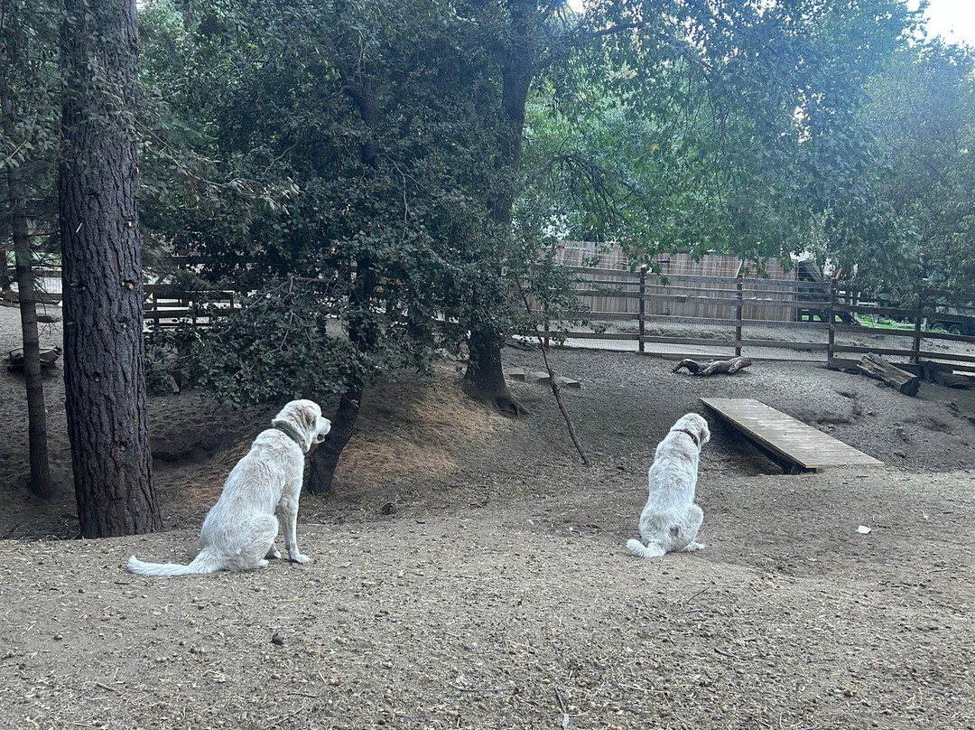 Bailey's on Palomar主图