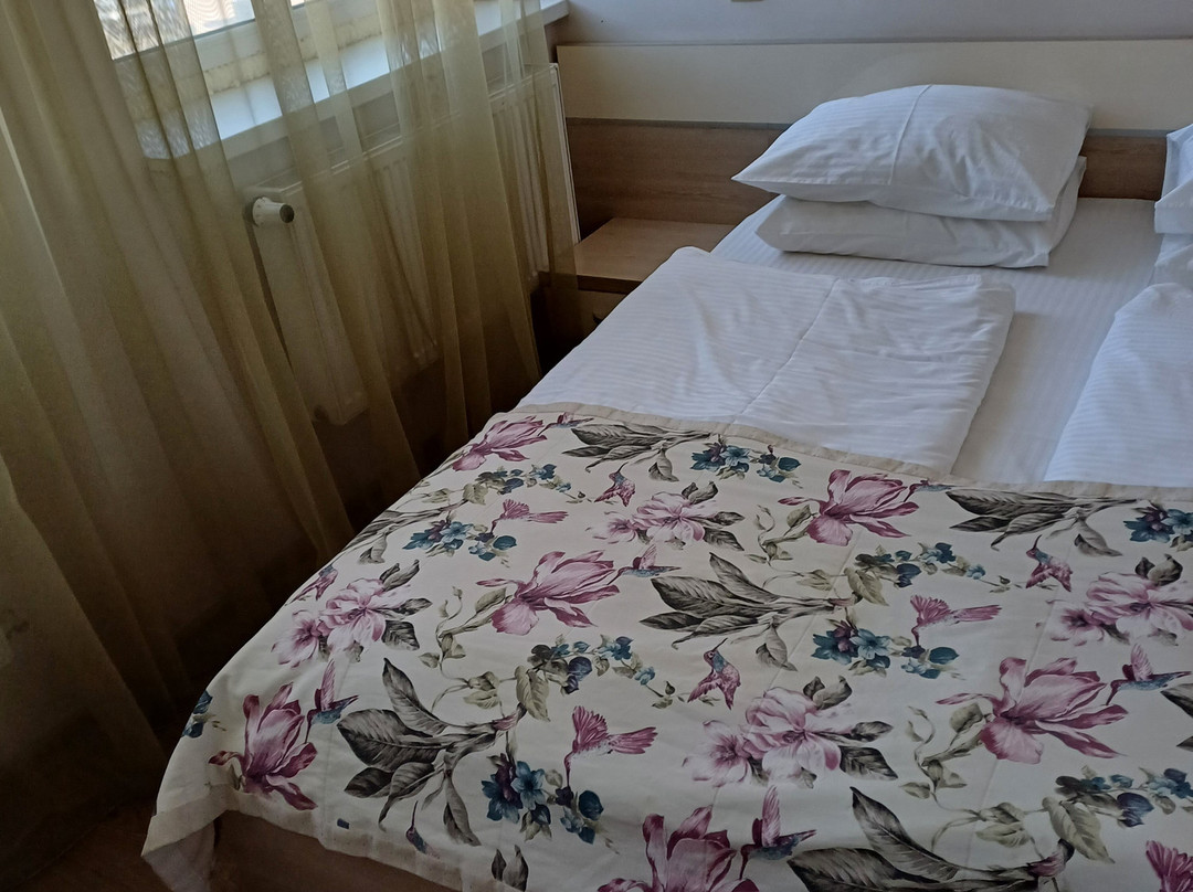 Hotel Merkuriy主图