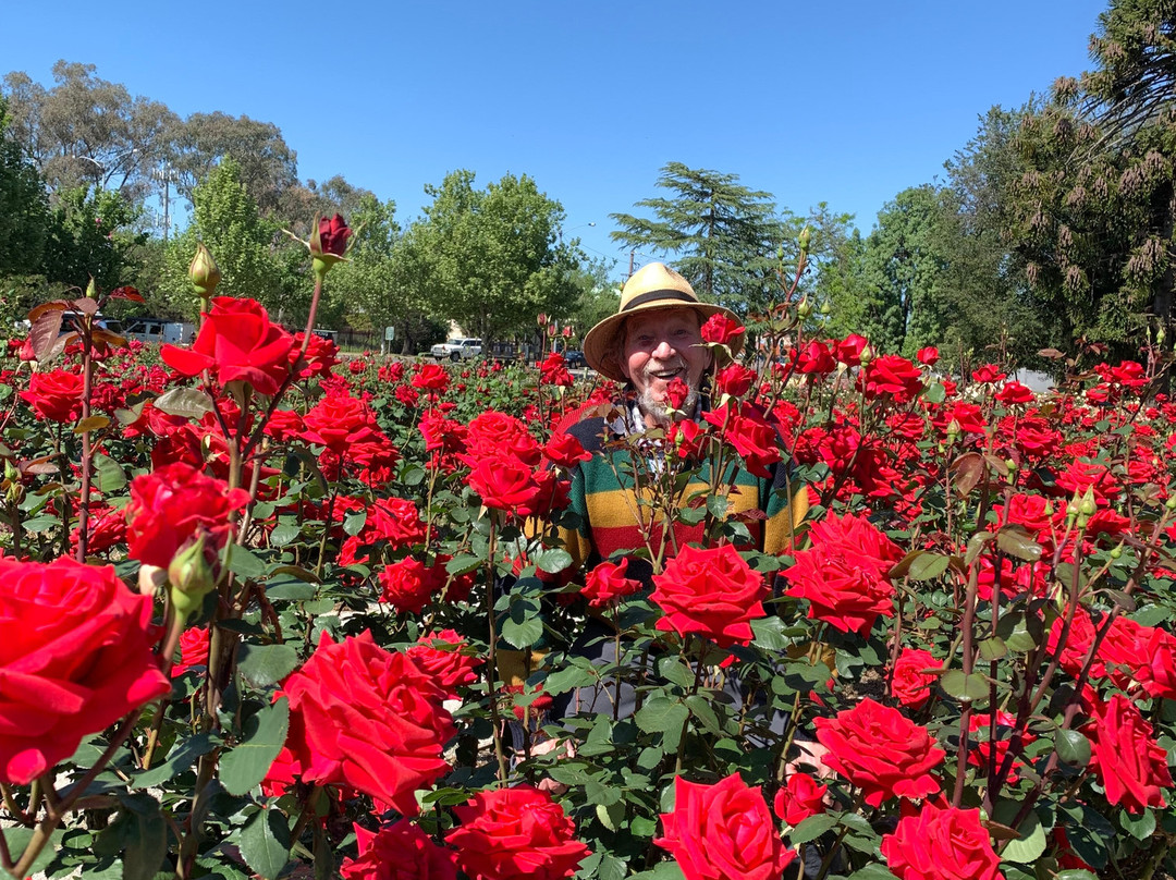 Benalla Botanic Gardens景点图片