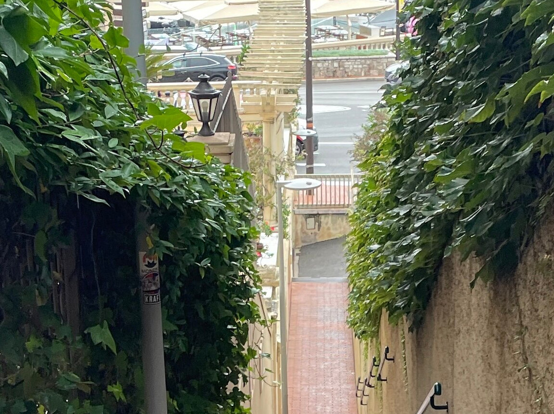 Port Hercule-蒙特卡洛必去景点