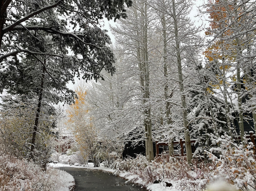 Walter Byron Park-弗里斯科必去景点
