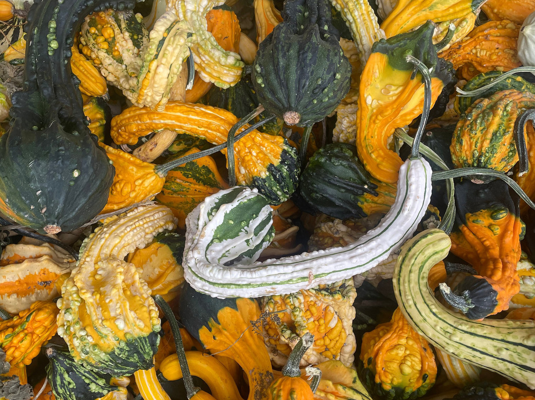 Smiley's Red Barn-胡德里弗必去景点