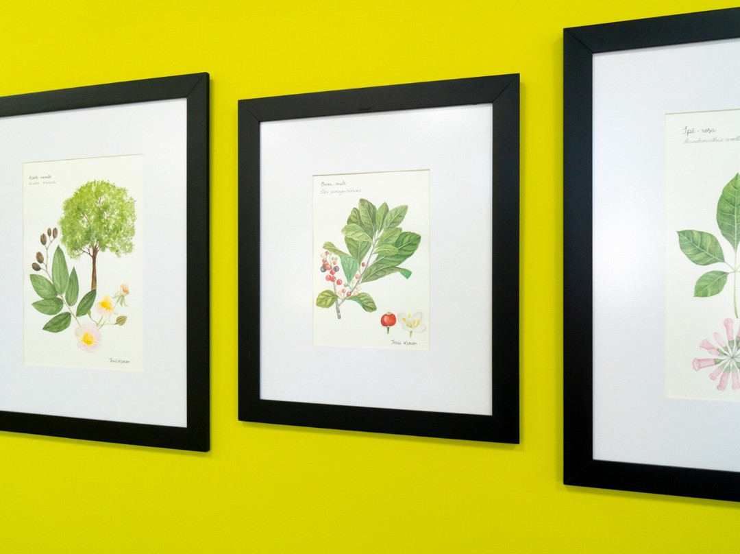 Itaipu Ecomuseu-伊瓜苏必去景点