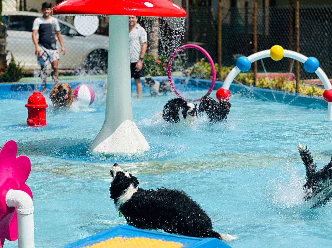 Pousada Italia Beach主图