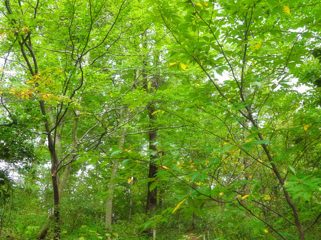 Yukiguni Garden Park-长冈市必去景点