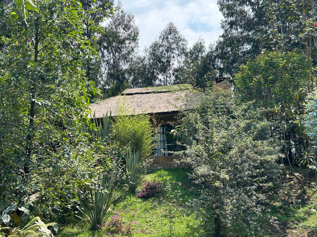 Sambora Kinigi主图