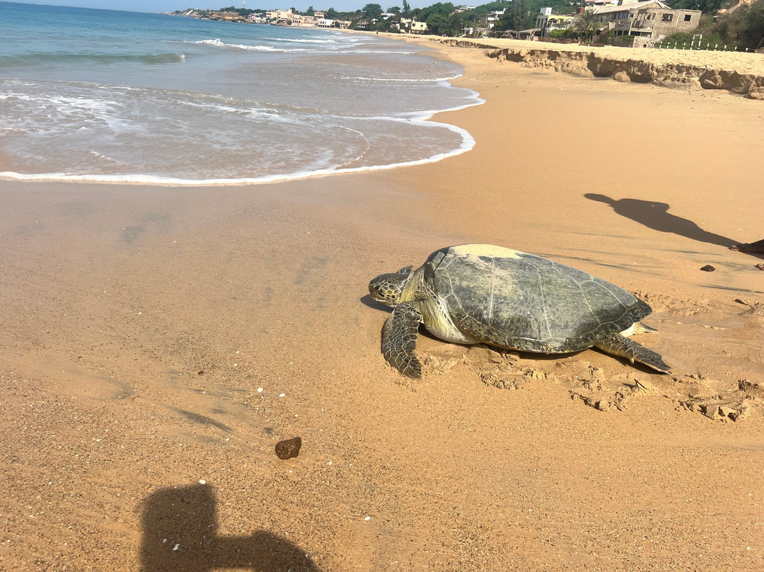 Plage Popenguine景点图片