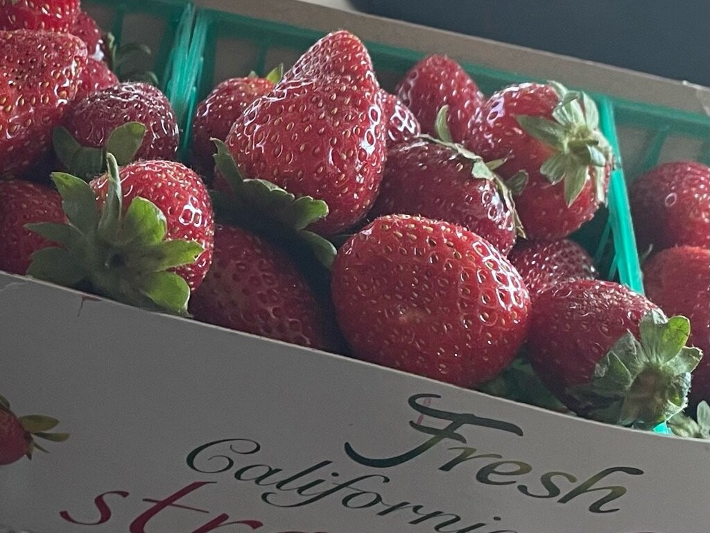 Valet of the Moon Wine Tours-索诺玛必去景点