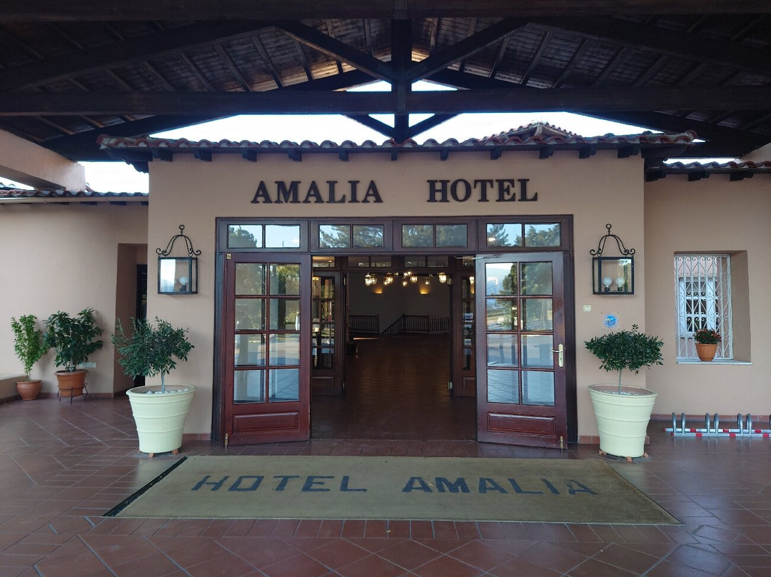 卡兰巴卡阿玛利亚酒店主图