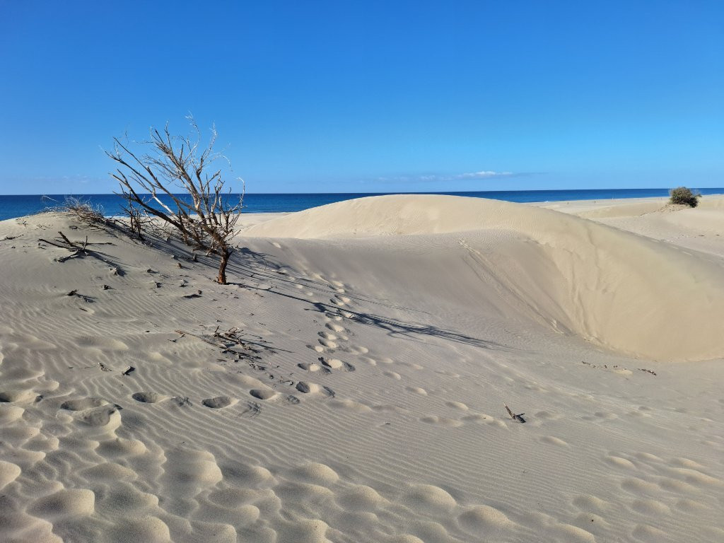 Patara Kum Tepesi景点图片