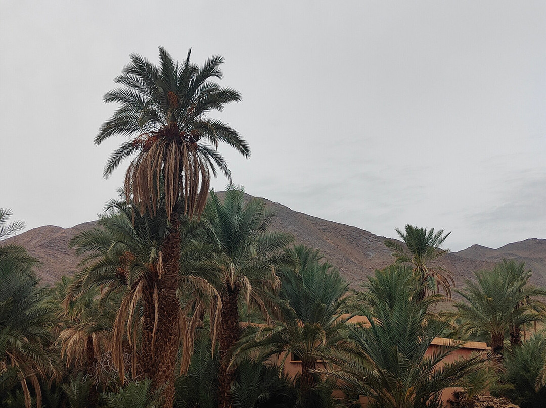 Morocco Today Travel-卡萨布兰卡必去景点