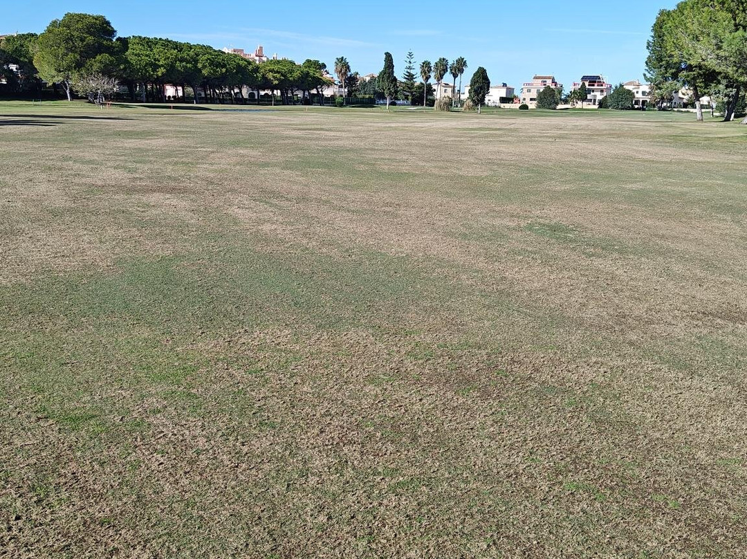 Club De Golf Oliva Nova景点图片