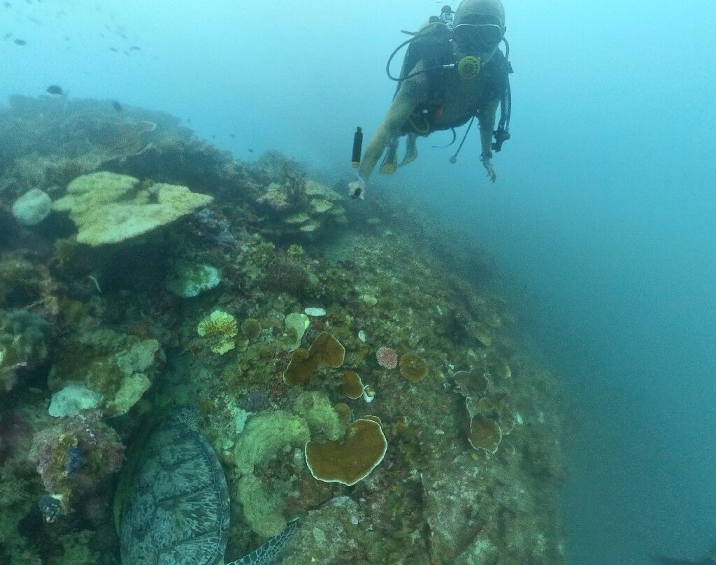 Coron Sanho Dive Center景点图片